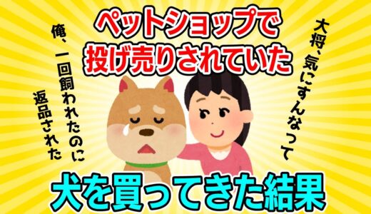 【2ch】ペットショップ投げ売りの犬の末路