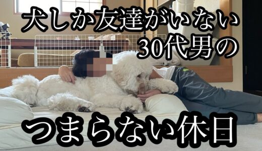 犬しか友達がいない、30代男のつまらない休日