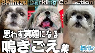 【音量注意】しゃべってる？うちのシーズー犬の鳴き声集めてみた。shih tzu dog barking collection