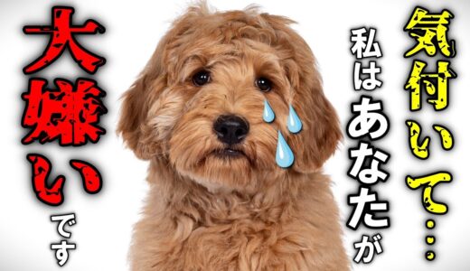 犬が嫌いな人にだけ見せる行動15選