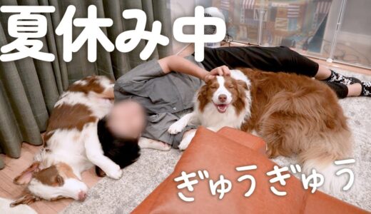 大好きなお兄ちゃんにべったり甘えて遊んでもらう犬達が可愛すぎて幸せ♡