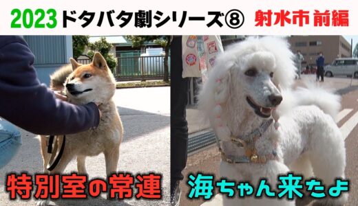 2023狂犬病予防注射会場のドタバタ劇⑧ 射水市前編