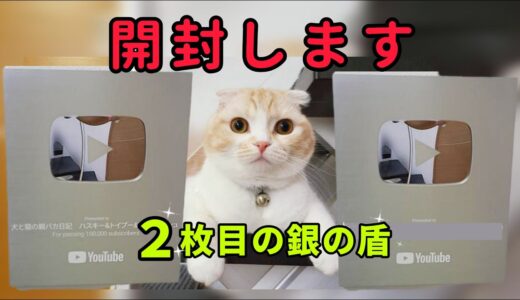 開封ライブ!２枚目の銀の盾 猫と犬と視聴者皆さんと鑑賞会