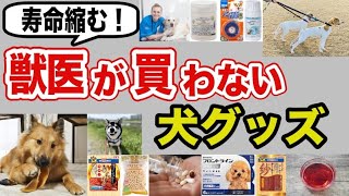 【知らないと危険】人気だけどオススメできない犬用品！実は命に関わる犬グッズを獣医師が解説します