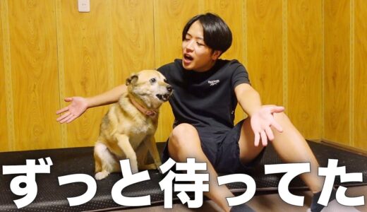 家族の帰りが遅くて雑種犬コロちゃんがこうなりました。