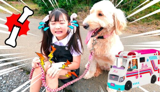 犬散歩する時に引っ張られてケガしちゃった‼バービーとおしごと！きゅうきゅうしゃのおいしゃさんセットで助けてあげよう！教育 – はねまりチャンネル