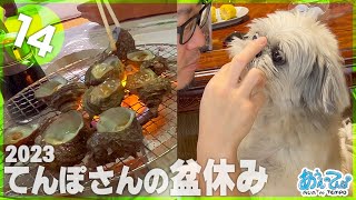 【vol.14】てんぽさんの盆休み2023【いぬと海の幸飯テロ編】