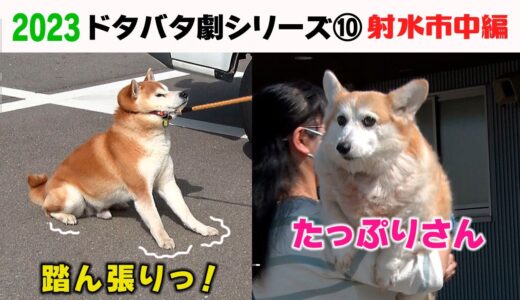 2023狂犬病予防注射会場のドタバタ劇⑩ 射水市中編