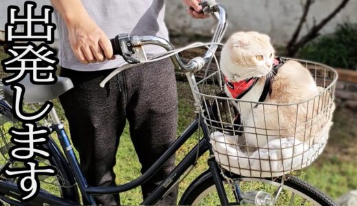 生まれて初めて猫と犬で一緒にサイクリングした結果こうなった...