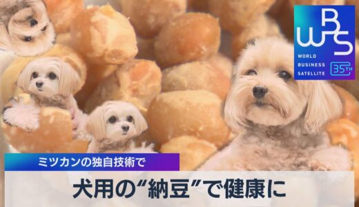 ミツカンの独自技術で 犬用の“納豆”で健康に【WBS】（2023年10月11日）