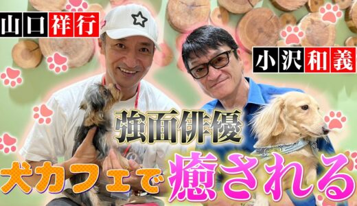 山口祥行と犬カフェを満喫！強面俳優のデレデレの姿ご覧ください！