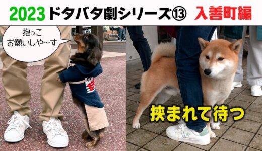 2023狂犬病予防注射会場のドタバタ劇⑬ 入善町編