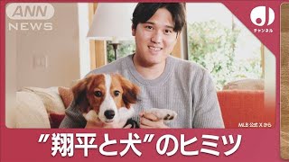 全米注目MVP大谷と“あの犬”気になる関係…正体は？(2023年11月17日)