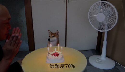 犬からの信頼度