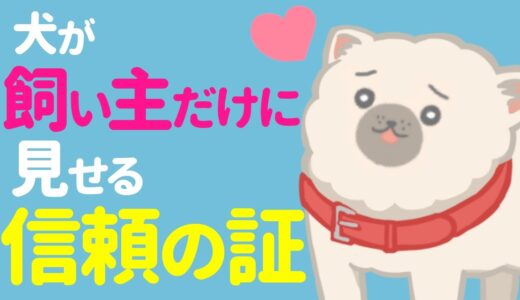 愛犬に信頼されてる？犬が信頼している人に見せる5つの行動