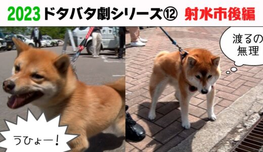 2023狂犬病予防注射会場のドタバタ劇⑫ 射水市後編