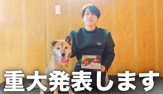 雑種犬コロちゃんとの今後の活動についてお話があります