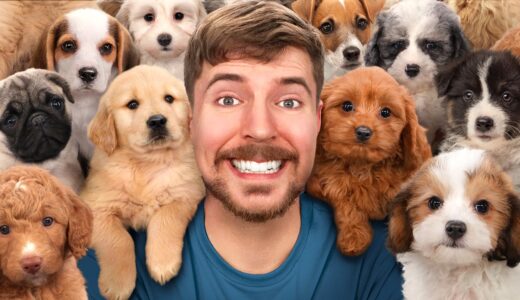 I Saved 100 Dogs From Dying