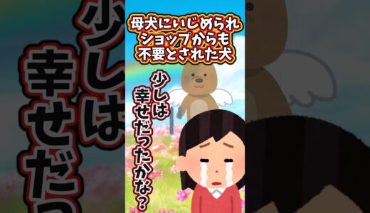 必要とされていなかった犬  　　　　　　　　　　　　　 　.　　　　　　  【 切ない話 泣ける話 感動する話 涙活 実話 】 #2ちゃんねる #2ch #2ch面白いスレ #猫 #犬 #Shorts