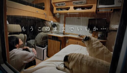 雨…愛知県…独身で犬を飼って結婚願望を失ったアラフォー30代男性の末路