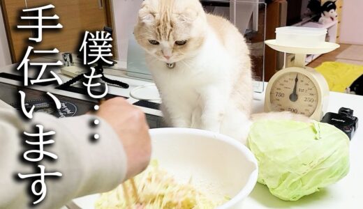 猫と一緒に手作り料理を作ってたら大変なことに…