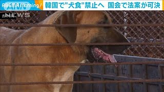 韓国で“犬食”禁止へ　滋養食として今も一部で人気(2024年1月10日)