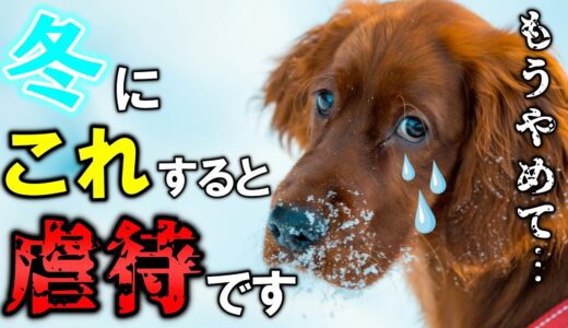 犬が泣くほど辛い冬にされた嫌なこと10選【完全版】