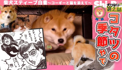 【犬びよりプラス】第2回 コタツの季節やで【柴犬スティーブ白書】