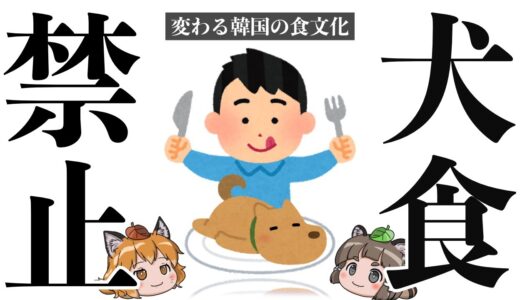 【韓国】犬食文化が食用禁止法で消滅へ…なぜ犬を食べるようになったのか？