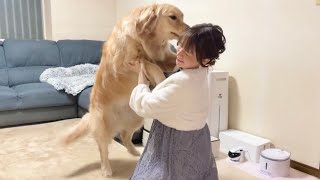 家を半日空けただけでとんでもない喜び様を見せてくれる愛犬が愛おしすぎました…