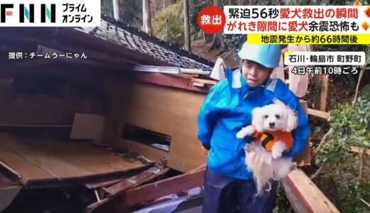 緊迫56秒 愛犬救出の瞬間　地震発生から約66時間後 がれきの隙間に愛犬 余震恐怖も