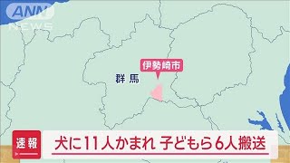 【速報】公園で子どもら11人が犬にかまれ6人が救急搬送　群馬県伊勢崎市(2024年2月7日)