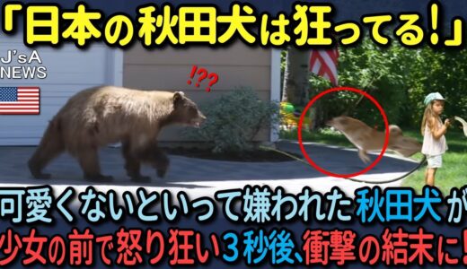 【海外の反応】恐いと言って嫌われた秋田犬が幼い少女の前で怒り狂い３秒後、衝撃の結果となった理由