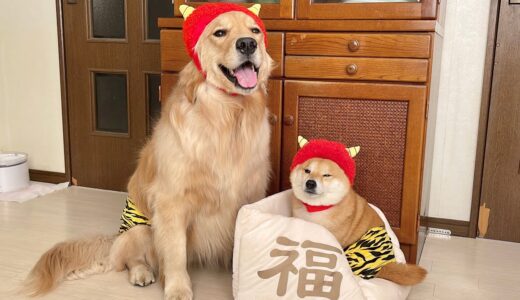 節分に愛犬と豆まきをしたらとんでもないことになりました...