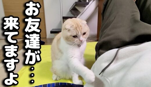 猫が来客が来たと教えてくれたのでついて行くと…