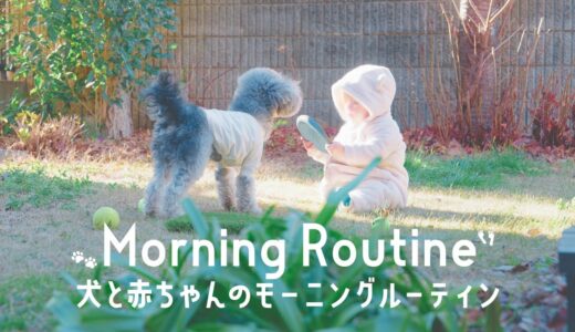 🐶犬と0歳児赤ちゃんの子育てモーニングルーティン