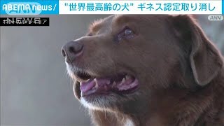 「世界最高齢の犬」の認定をギネス社が取り消し(2024年2月23日)