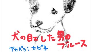 犬の目ェした男のブルース♫