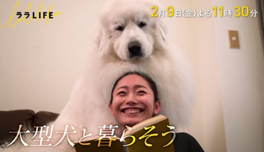 安藤美姫､家で大型犬を飼う｡子犬から成犬､そして老犬へ『ララLIFE』2/9(金)【TBS】