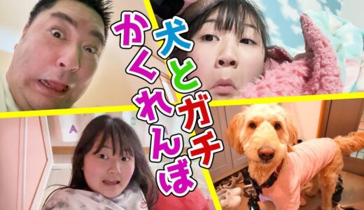 家で犬と「かくれんぼ」やったら～まさかの結果に！ - はねまりチャンネル