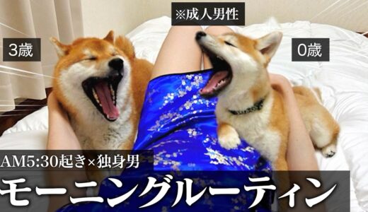 【可愛すぎて起きれない…】子犬を迎えて多頭飼いになったリアルなモーニングルーティン。「実家暮らし|20代|結婚願望なし」