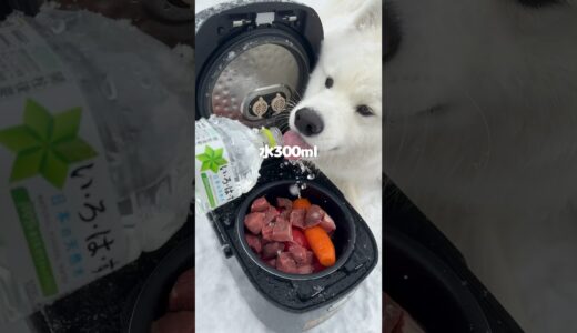 大雪の中ボルシチつくったら爆食してくれました！※炊飯は屋内でしています