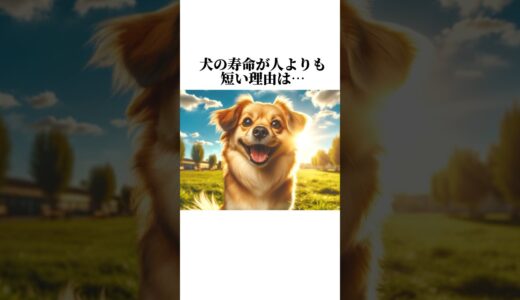 犬の可愛すぎる秘密が泣けます😢犬の最高すぎる秘密10選。最後はコメント欄→