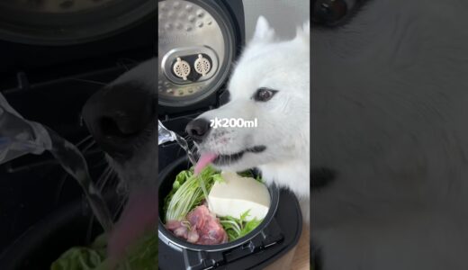 鴨鍋ご飯つくったら爆食してくれました！#大型犬