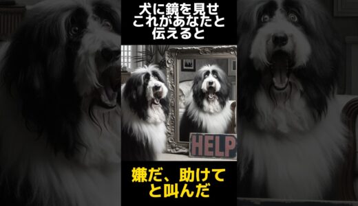 自分を人間だと思い込んだ犬の末路