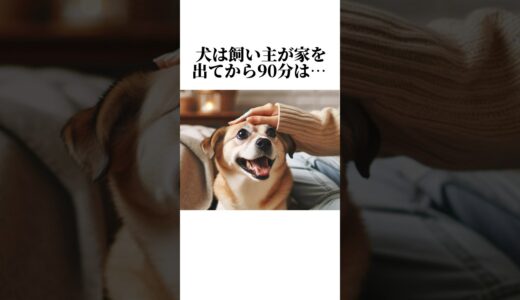 犬の気持ちの秘密が可愛すぎる😢犬の知って損しない秘密5選。