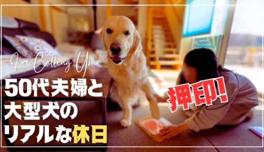 犬が飼い主を救う春｜50代夫婦とゴールデンレトリバーの暮らし