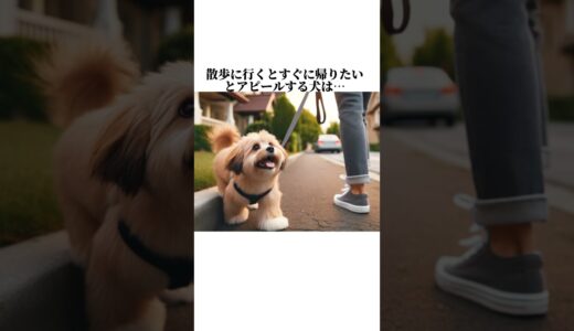 犬の知って損しない秘密5選が可愛すぎww犬が大好きな人は見てね😊