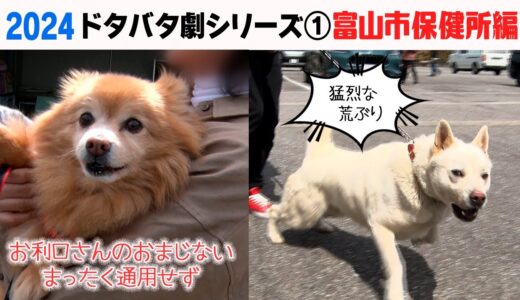 2024狂犬病予防注射会場のドタバタ劇① 富山市保健所編