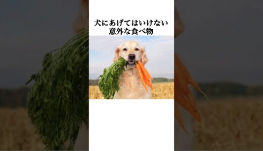 犬にあげてはいけない意外な食べ物#犬 #ペット #雑学